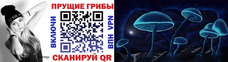 Купить Светогорск Псилоцибиновые грибы мицелий